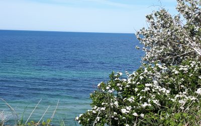 RügenLandschaft mit Skulptur Ein Projekt zum 250. Geburtstag von Caspar David Friedrich (1774-1840)