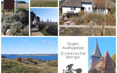 Ausflugstipp: Groß Zicker – das Herz des Mönchguts